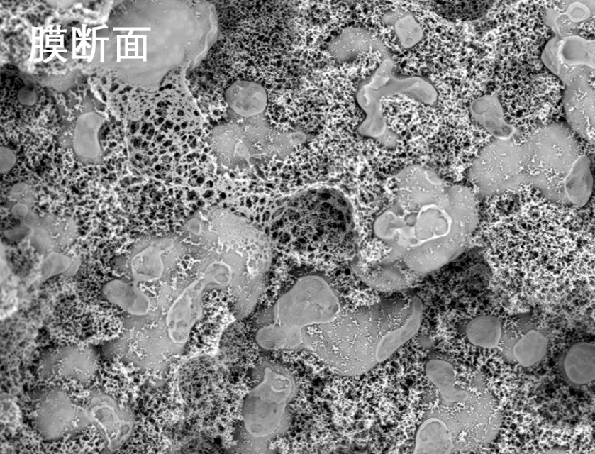 91成人无码看片在线观看网址烧结管式膜电镜照片